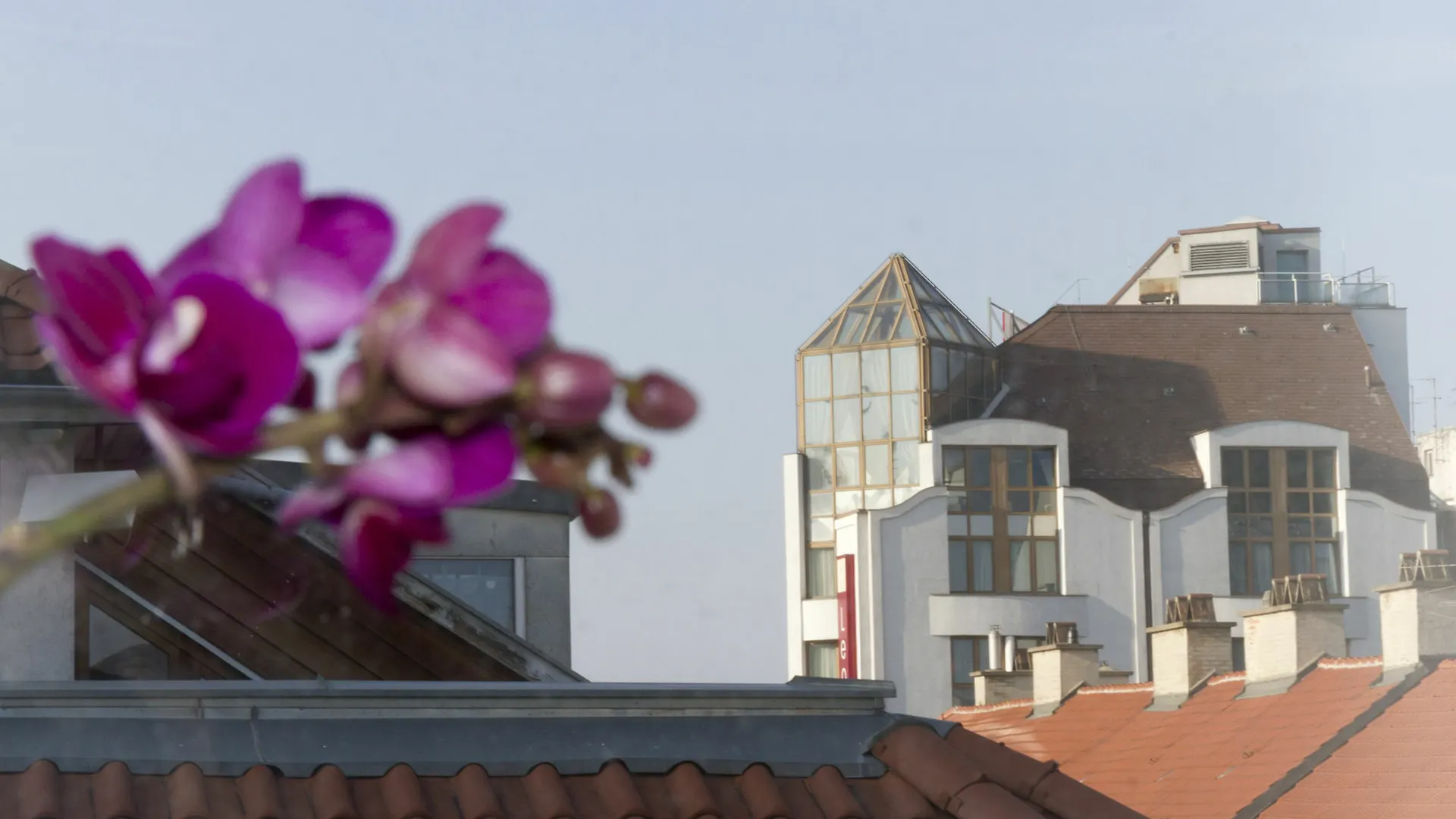 Apartament Mariahilf Terrace By Welcome2Wiedeń